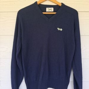 JCPenney Deep Blue V-Neck Sweater